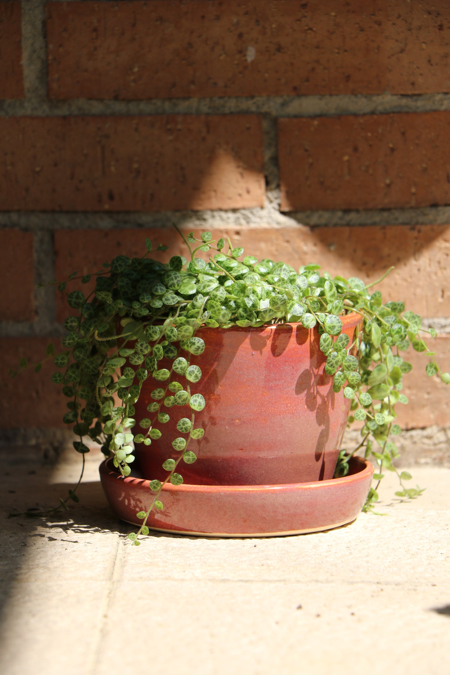 Planter - Purple/Pink