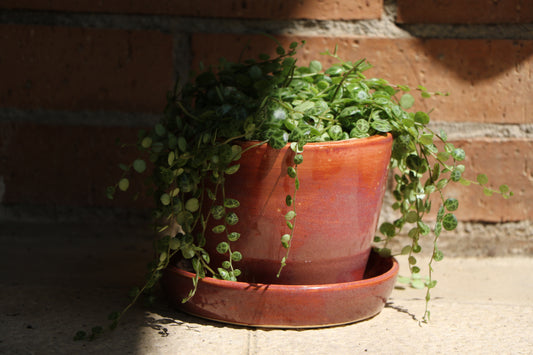Planter - Purple/Pink