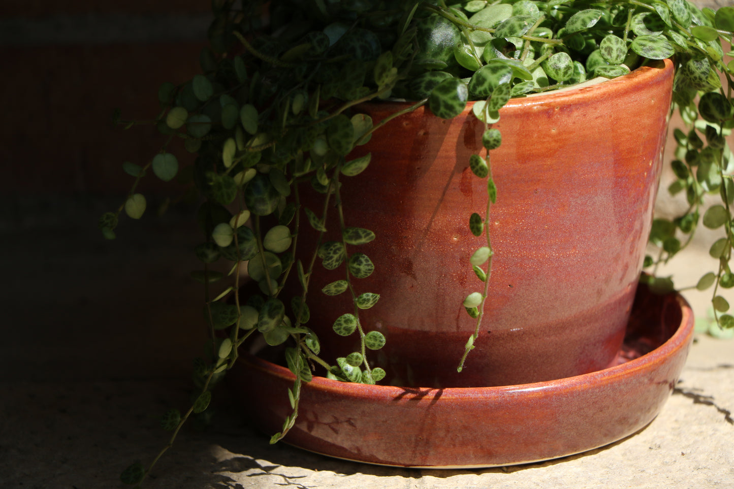 Planter - Purple/Pink