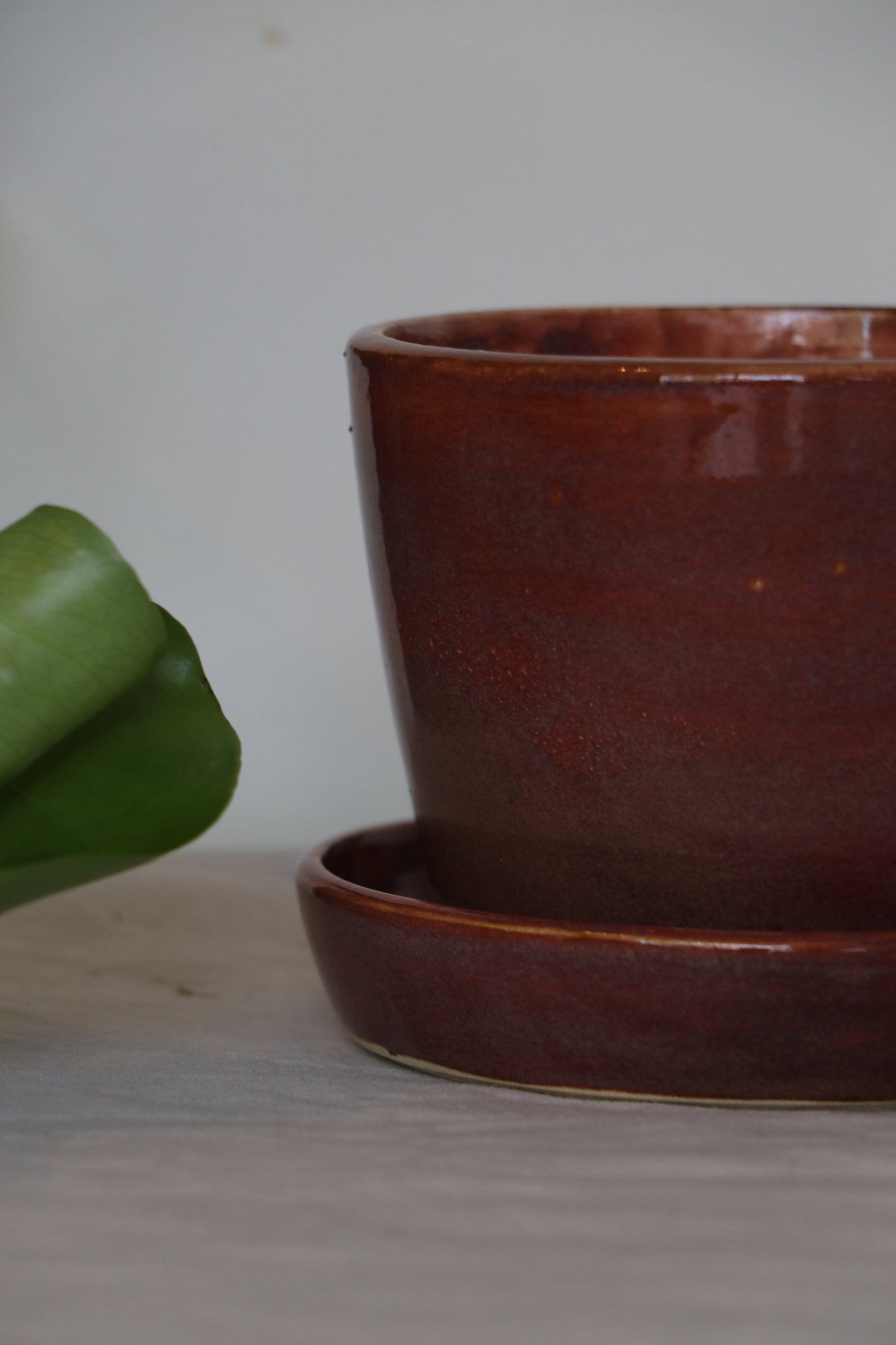 Planter - Purple/Pink